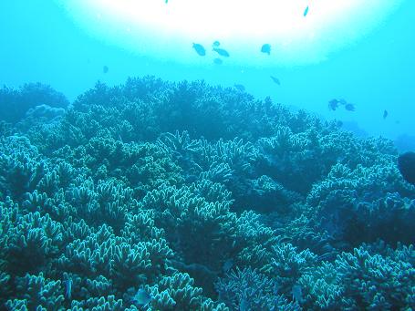 c0180460_2271522.jpg