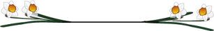 e0129862_14251463.gif