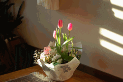 b0158170_17323515.gif