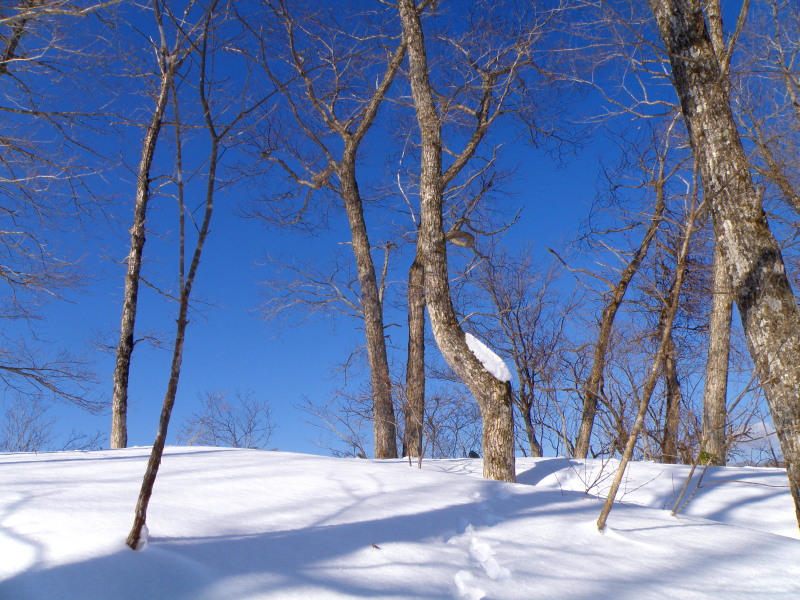 雪の遠野_f0075075_1323430.jpg