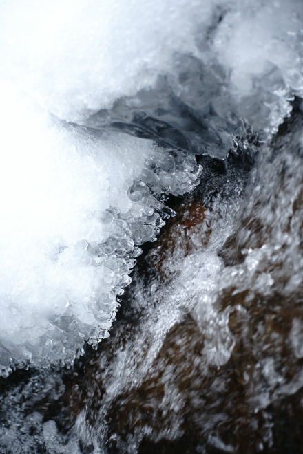 e0152576_2328448.jpg