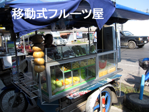 ポラマ~イ☆ポラマ~イ☆_f0144385_17303752.jpg
