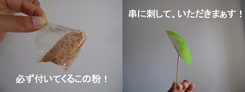 ポラマ~イ☆ポラマ~イ☆_f0144385_17391392.jpg