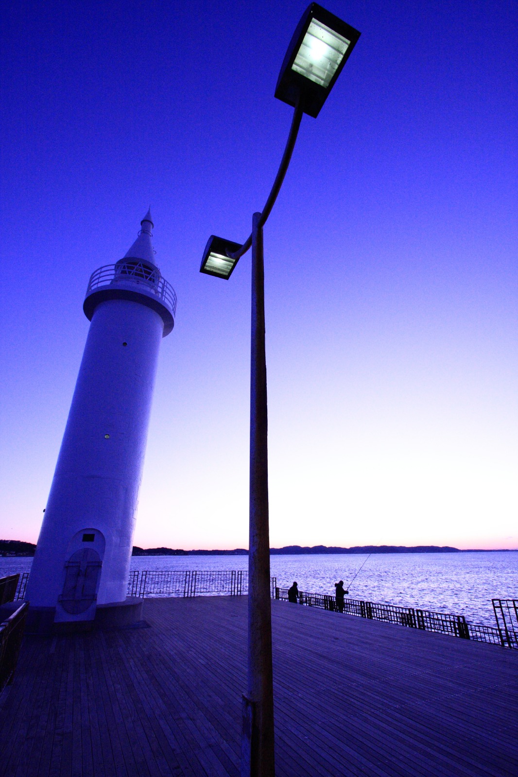 ドーン パープル Mickey S World