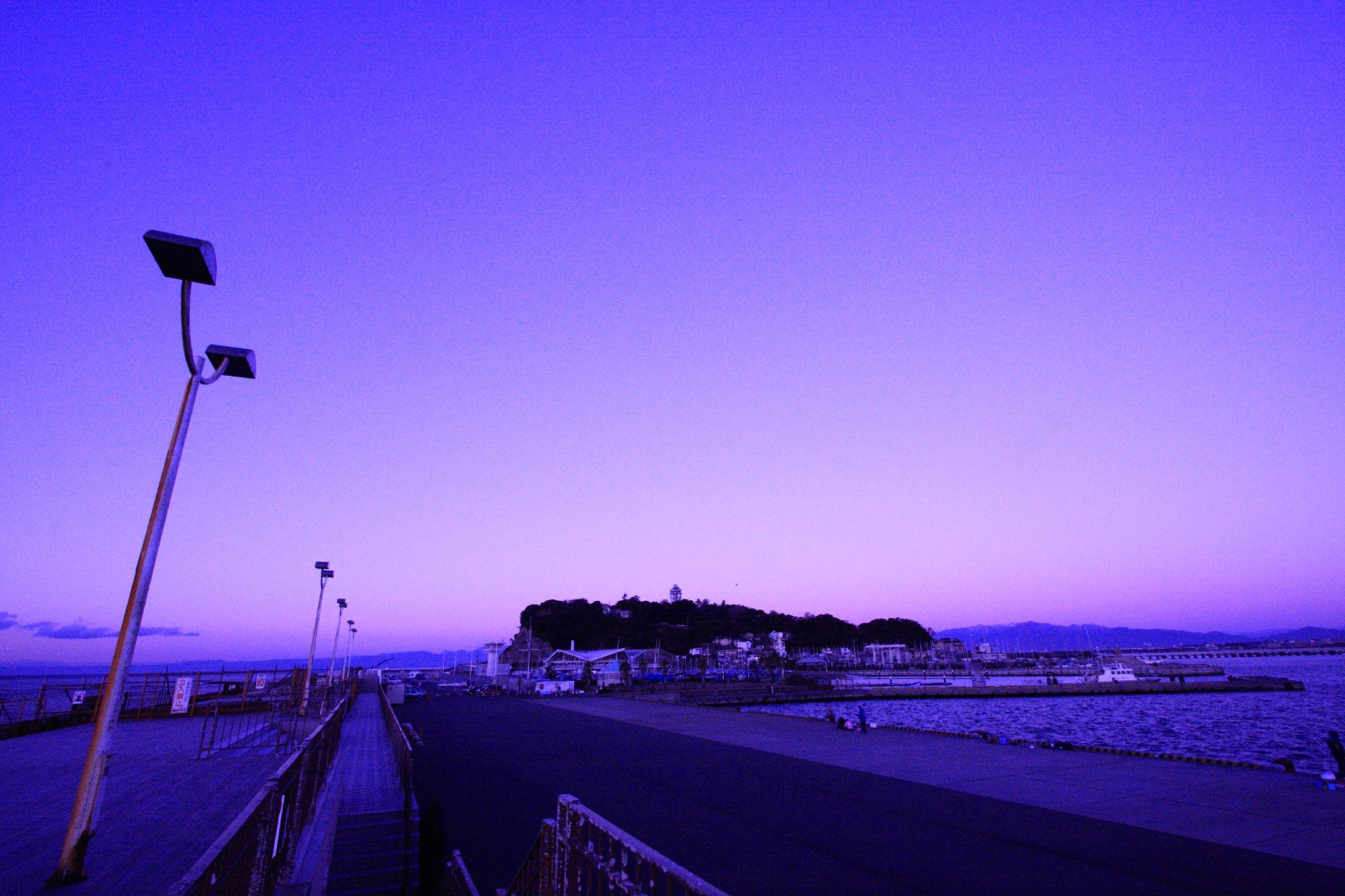 ドーン パープル Mickey S World