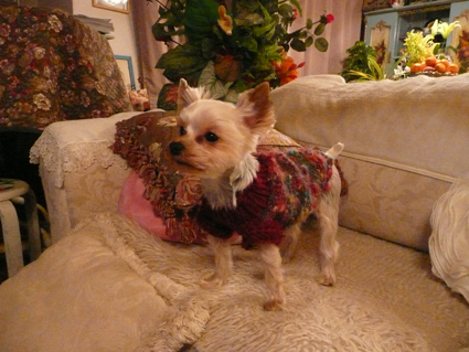 Sweaters for angels - 天使たちのセーター -_f0186787_22473592.jpg