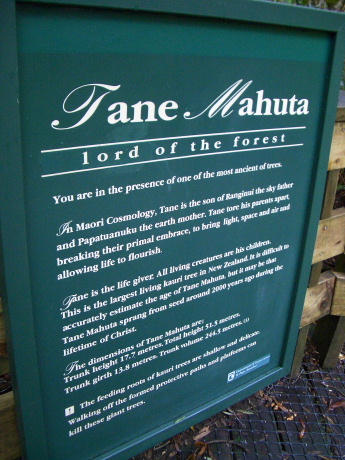 f0046489_55327.jpg