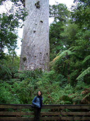 f0046489_55351.jpg