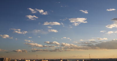 d0145592_8133076.jpg