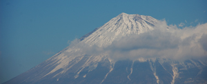 c0049902_2056695.jpg