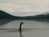 a0016503_1493065.gif
