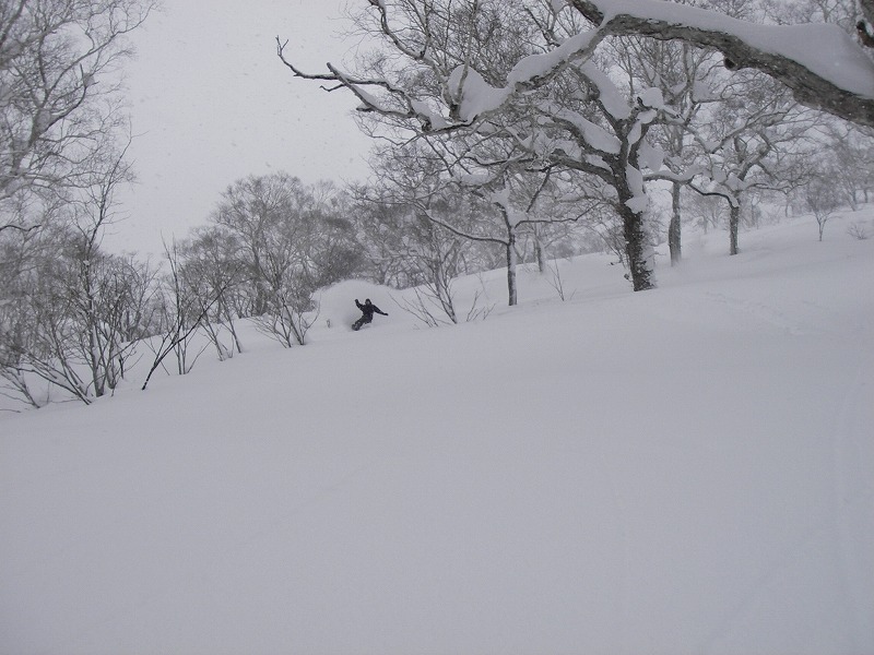 c0153411_12463413.jpg
