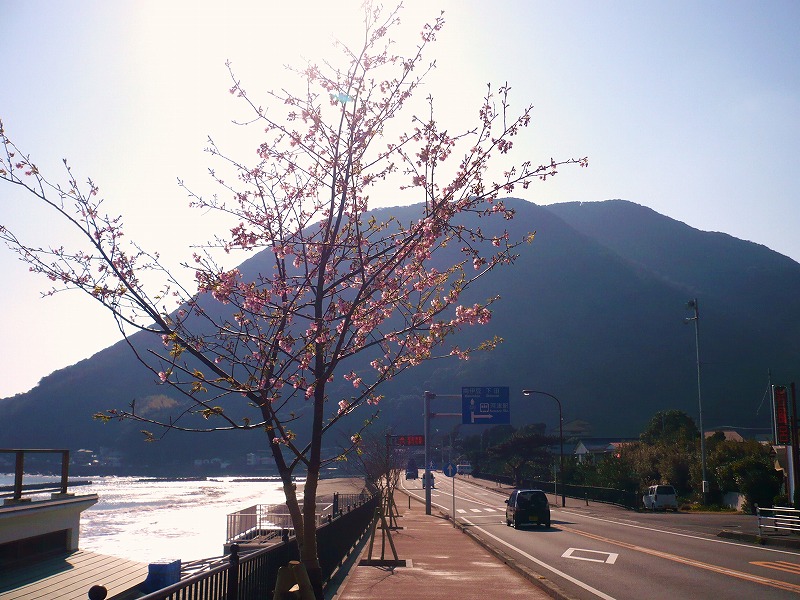 f0182513_2154015.jpg