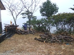 こうち森林救援隊特別活動(筆山公園整備作業)_e0138321_2019217.jpg