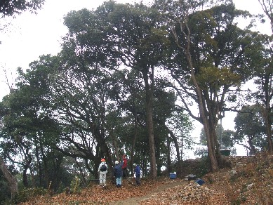 こうち森林救援隊特別活動(筆山公園整備作業)_e0138321_20343398.jpg