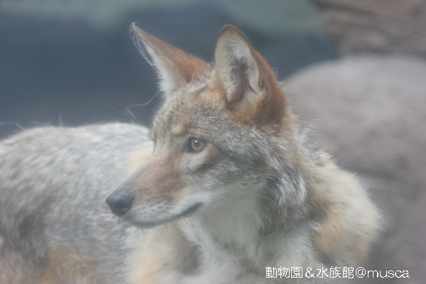 横顔比較 蔵出し写真館 横顔比較 蔵出し写真館