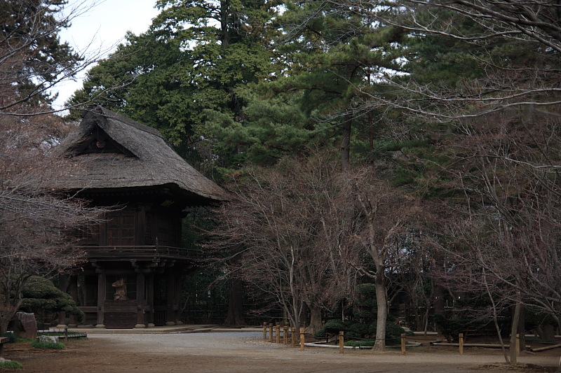 平林寺（最終かな）_e0165326_22252854.jpg