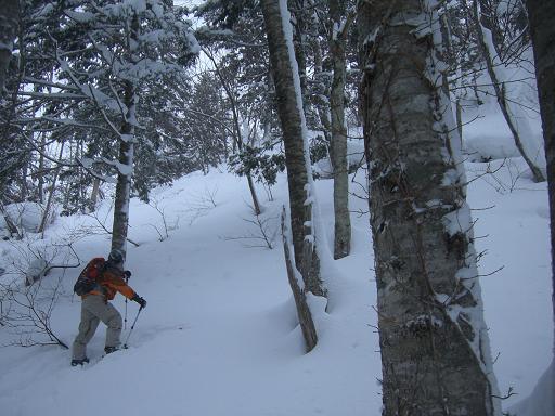 f0128733_21204744.jpg