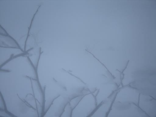f0128733_2218580.jpg