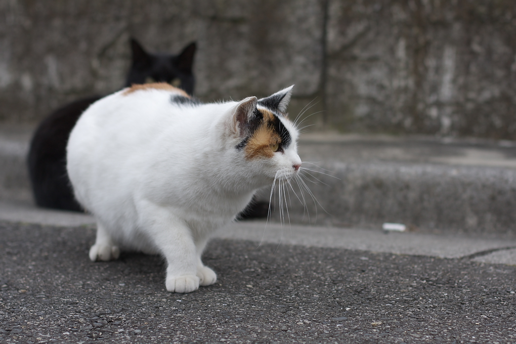 雨があがったね！_c0150334_12585833.jpg