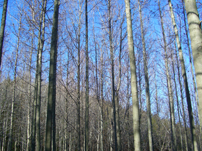 e0110940_23105127.jpg