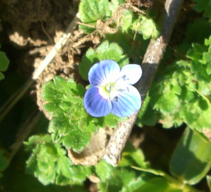 e0110940_23173172.jpg