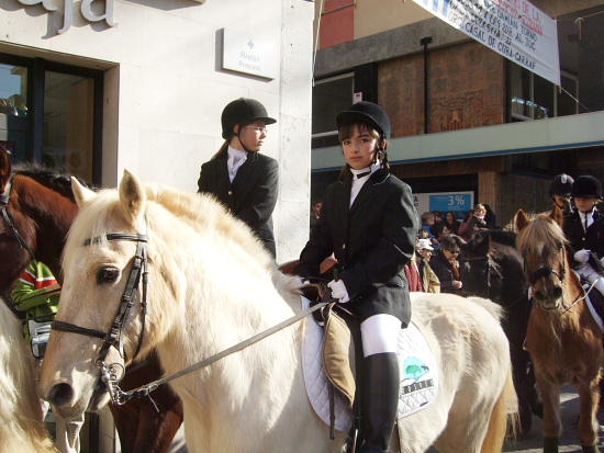 ウマ うま 馬のお祭り Vilanova ルディのシッチェス バルセロナ便り ワンコ 犬 と一緒にスペインでリタイアメントライフ