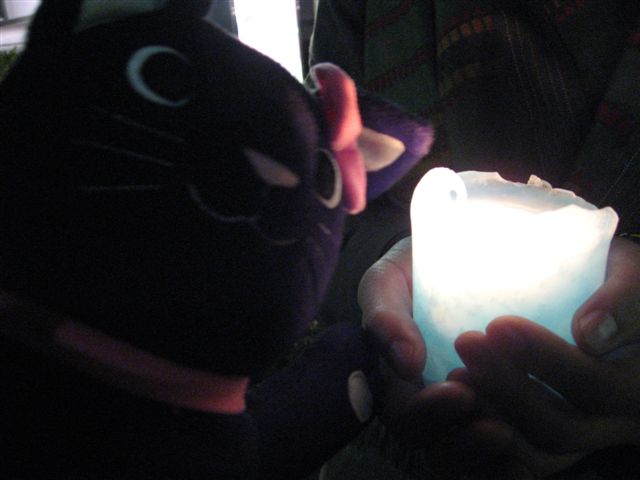 c0197248_04431.jpg