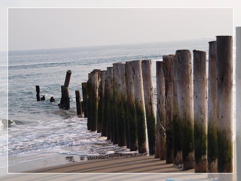 c0145250_15564950.jpg