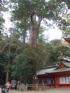 初詣☆鹿島神宮&東国三社_d0082655_190244.jpg
