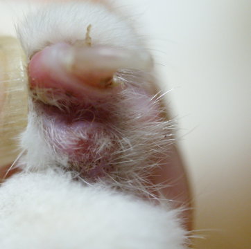 b0058956_22851.jpg