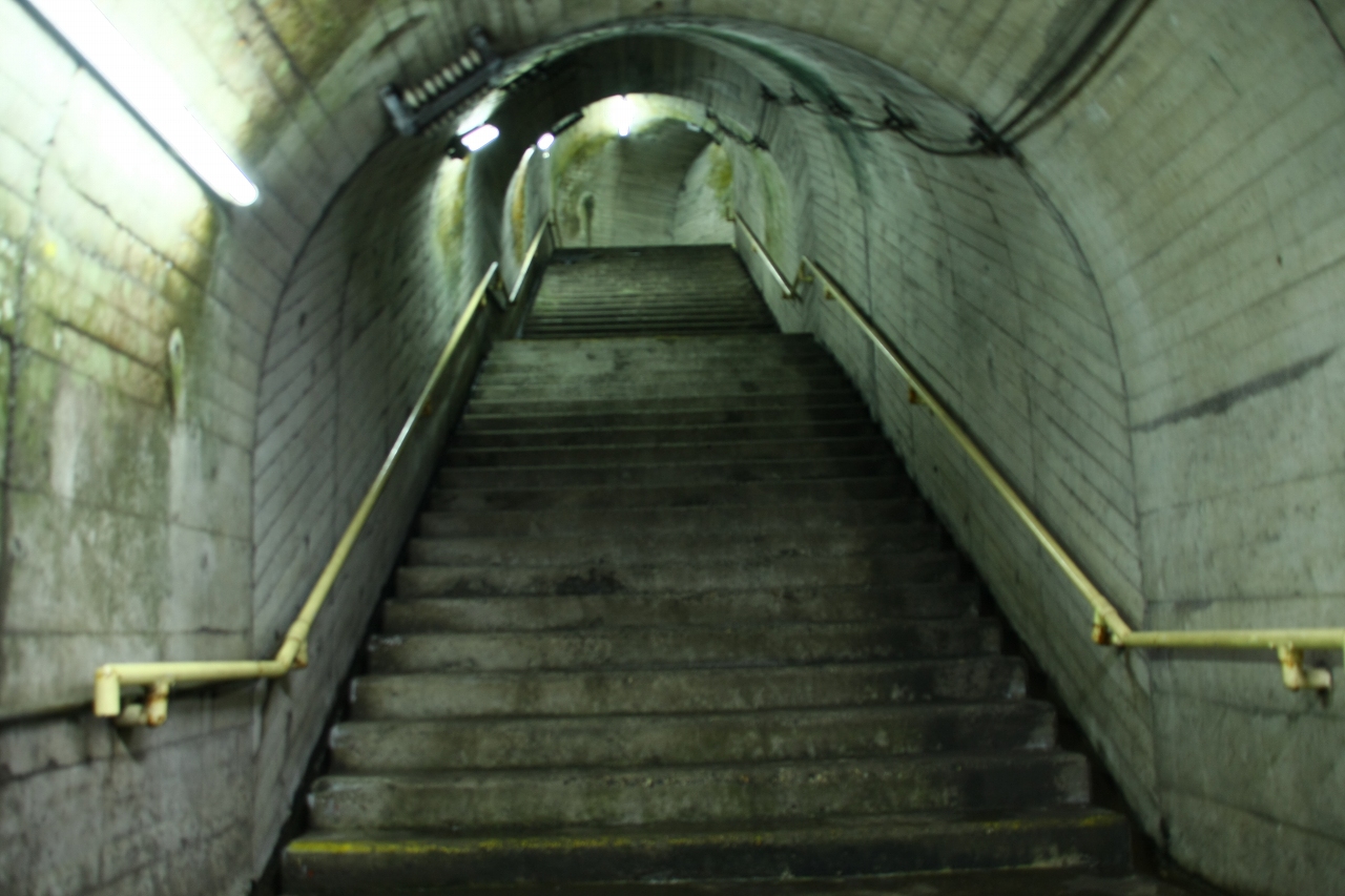 f0136656_1341295.jpg