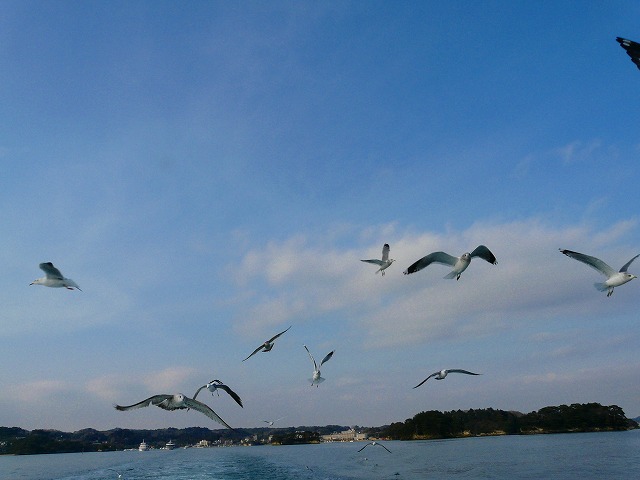 d0041158_5592995.jpg