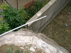 f0147759_1639276.jpg