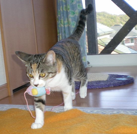 2009年1月19日(月)早春のような!_f0060461_17255146.jpg