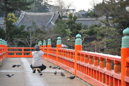 早朝散歩 宇治川_e0164563_141386.jpg
