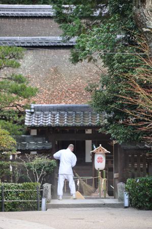 早朝散歩 宇治川_e0164563_1421626.jpg