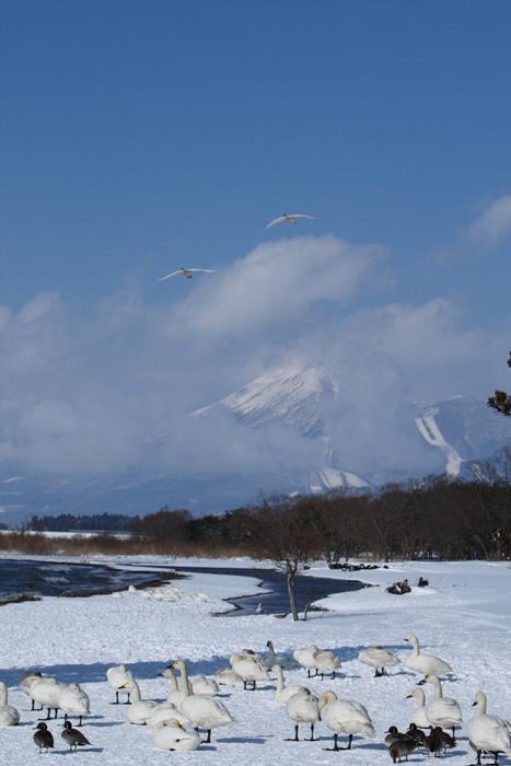 ・・・雪国会津を訪ねる・・・＜3＞　猪苗代湖から_e0143883_22191579.jpg