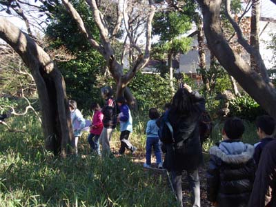 野鳥観察会_b0049307_1551583.jpg