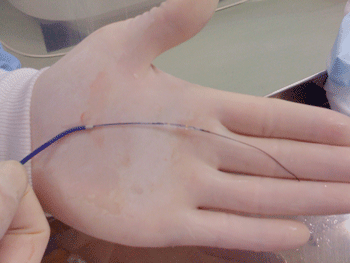 a0055913_0192931.gif