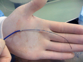 a0055913_020511.gif