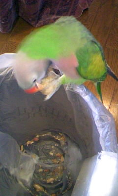 c0133013_13295067.jpg