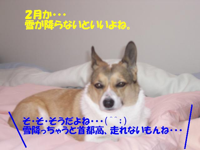 f0182121_23184859.jpg