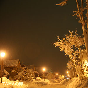 c0024729_20434829.jpg