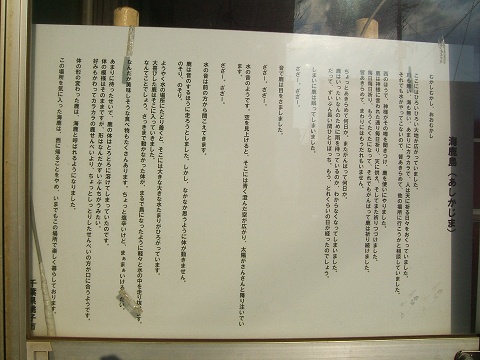 e0089232_2035427.jpg