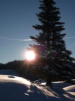 b0032234_16535844.jpg