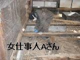 f0031037_20202327.jpg