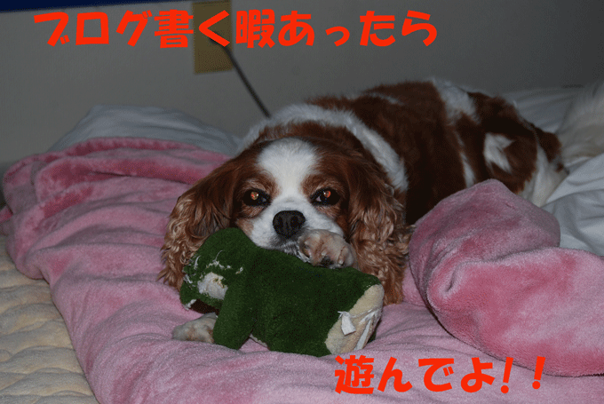 c0136838_23201621.gif
