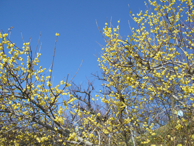 e0110940_0188100.jpg
