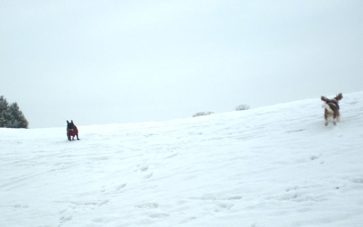 c0055857_74346.jpg